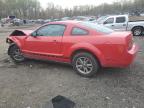 2005 Ford Mustang  na sprzedaż w Baltimore, MD - Front End
