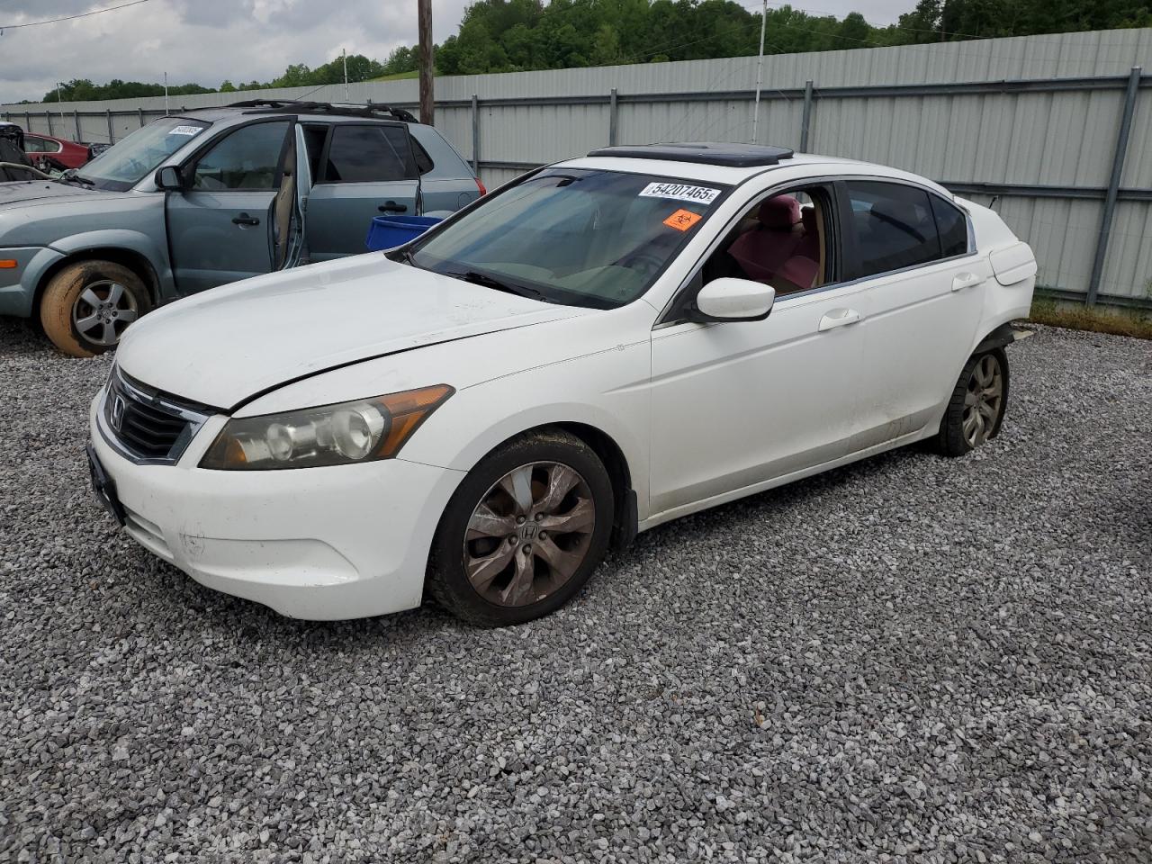 2010 Honda Accord Exl للبيع في Grenada، MS - Biohazard/Chemical