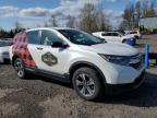 2019 HONDA CR-V LX   à vendre chez Copart OR - PORTLAND NORTH