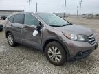2012 Honda Cr-V Exl for Sale in Columbus, OH - All Over