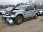 2014 FORD F150 SUPERCREW for sale at Copart ON - COOKSTOWN