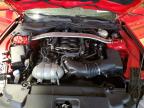 2021 Ford Mustang Gt   for Sale in Indianapolis, IN - Minor Dent/Scratches