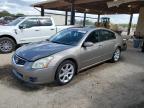 2008 Nissan Maxima Se for Sale in Tanner, AL - Rear End