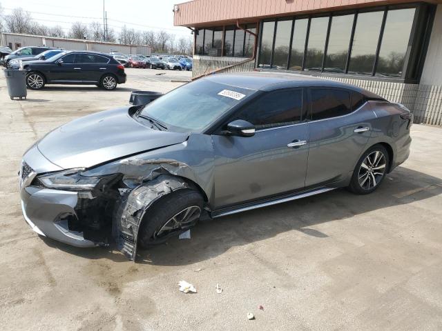  NISSAN MAXIMA 2020 Серый