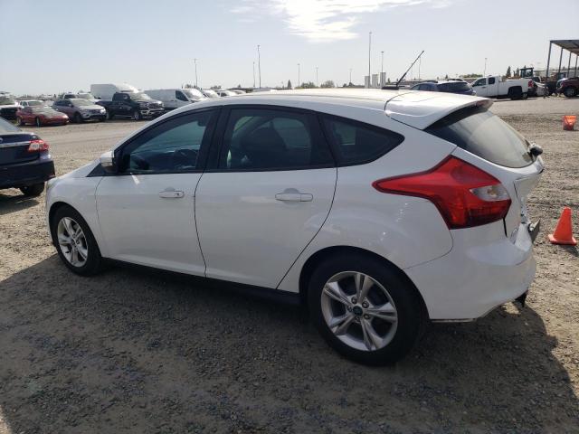 Hatchbacks FORD FOCUS 2013 White
