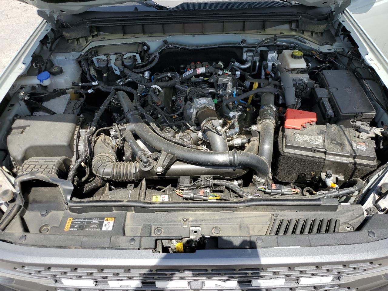 2023 Ford Bronco Base VIN: 1FMEE5DP8PLB29801 Lot: 55086715