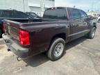 2005 Dodge Dakota Quad იყიდება Phoenix-ში, AZ - Minor Dent/Scratches