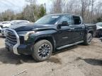 2022 Toyota Tundra Crewmax Limited на продаже в Cookstown, ON - Vandalism