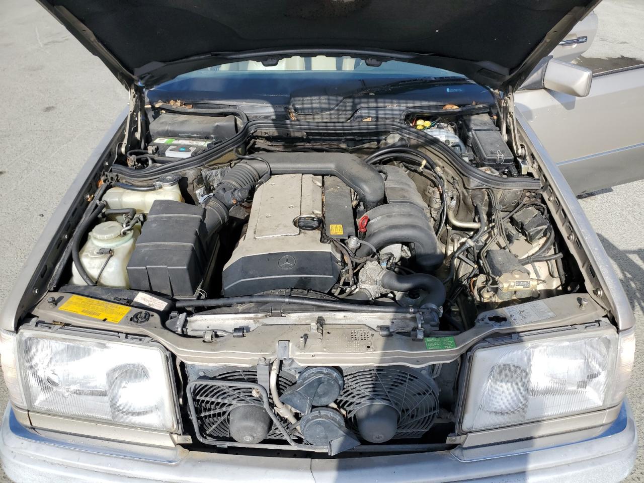 1994 Mercedes-Benz E 320 VIN: WDBEA32E2RC119398 Lot: 54427825