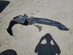 2005 Ford Focus Zx4 for Sale in Farr West, UT - Front End