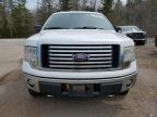 2011 FORD F150 SUPERCREW à vendre chez Copart ON - COOKSTOWN