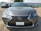 2025 Lexus Es 300H Base na sprzedaż w Mercedes, TX - Water/Flood