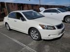 2009 Honda Accord Exl en Venta en Wilmington, CA - Minor Dent/Scratches
