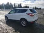 2017 Ford Escape Se en Venta en Graham, WA - Minor Dent/Scratches