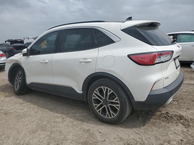  FORD ESCAPE 2020 Белы