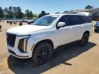 2025 Cadillac Escalade Sport Platinum na sprzedaż w Longview, TX - Hail