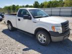 2011 Ford F150  de vânzare în Prairie Grove, AR - Hail