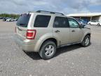 2010 Ford Escape Xlt for Sale in Madisonville, TN - All Over