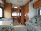 1999 Gulf Stream Travel Tra for Sale in Dyer, IN - Rear End