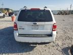 2008 Ford Escape Xlt for Sale in Montgomery, AL - Front End