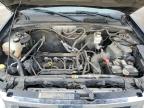 2011 Ford Escape Xlt იყიდება Denver-ში, CO - Rear End
