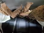 2025 Kia Sportage Ex for Sale in Lufkin, TX - Rollover