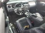 2014 Ford Mustang  for Sale in Albuquerque, NM - Side