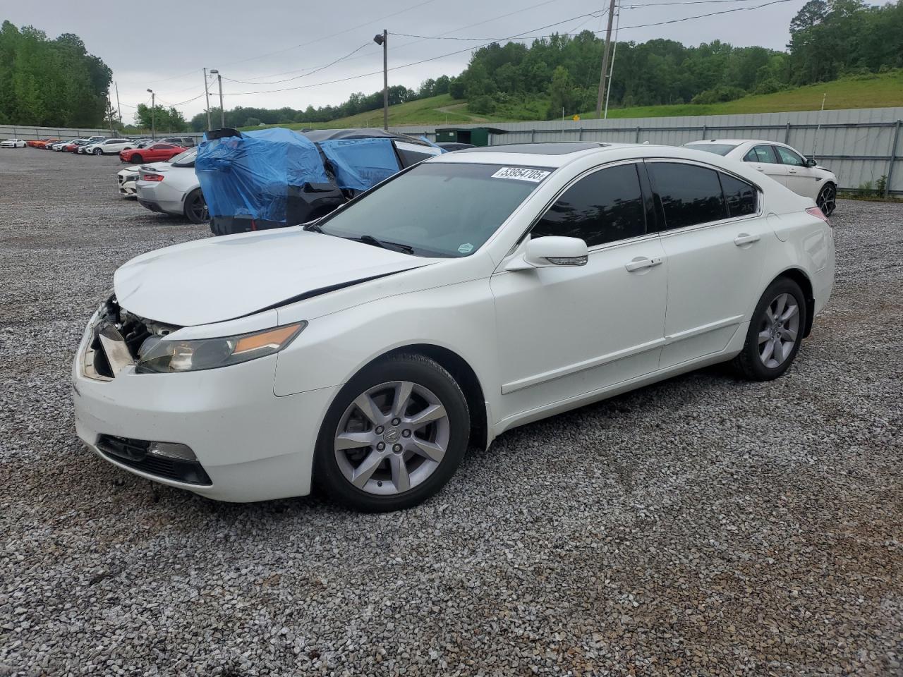 2013 Acura Tl Tech en Venta en Grenada, MS - Front End