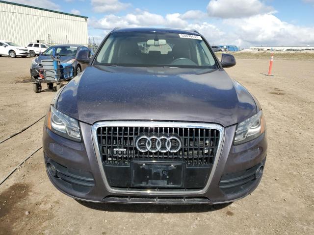 2010 AUDI Q5 PREMIUM PLUS