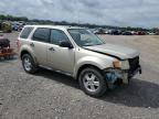 2010 Ford Escape Xlt for Sale in Madisonville, TN - All Over