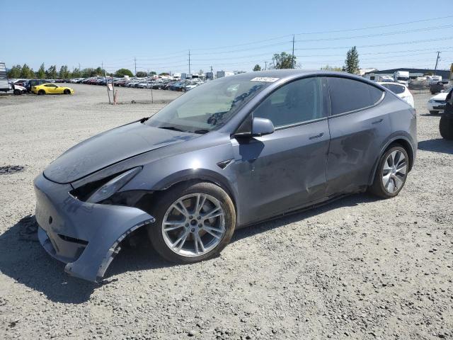  TESLA MODEL Y 2023 Серый
