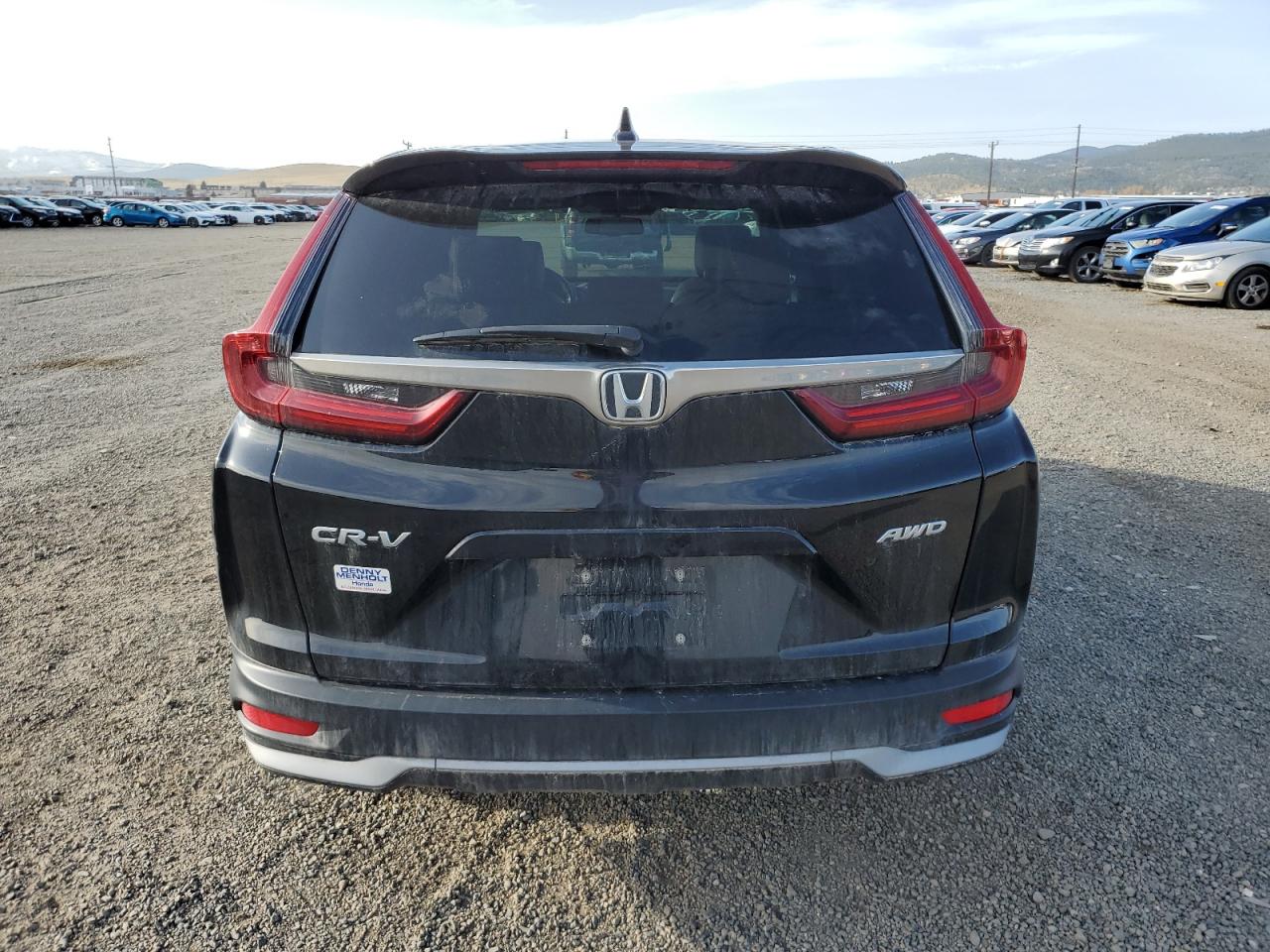 2020 Honda Cr-V Exl VIN: 5J6RW2H89LA007534 Lot: 52203555