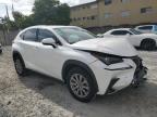 2020 Lexus Nx 300 Base for Sale in Opa Locka, FL - Front End