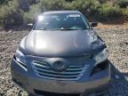 2009 Toyota Camry Hybrid zu verkaufen in Reno, NV - Front End