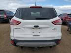 Brighton, CO에서 판매 중인 2013 Ford Escape Se - Rear End