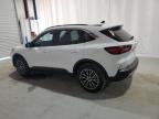2023 Ford Escape за продажба в New Orleans, LA - Minor Dent/Scratches