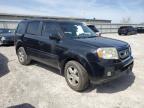 2011 Honda Pilot Ex للبيع في Walton، KY - Front End