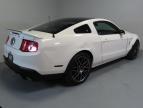 2011 Ford Mustang Shelby Gt500 للبيع في Rancho Cucamonga، CA - All Over