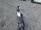 Duryea, PA에서 판매 중인 2009 Harley-Davidson Xl1200 N - All Over