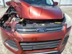2015 Ford Escape Se for Sale in Seaford, DE - Front End