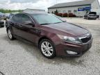 2012 Kia Optima Lx იყიდება Louisville-ში, KY - Hail