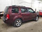 2012 Honda Pilot Exl en Venta en Ham Lake, MN - Minor Dent/Scratches