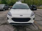 Rogersville, MO에서 판매 중인 2022 Ford Escape Se - Minor Dent/Scratches