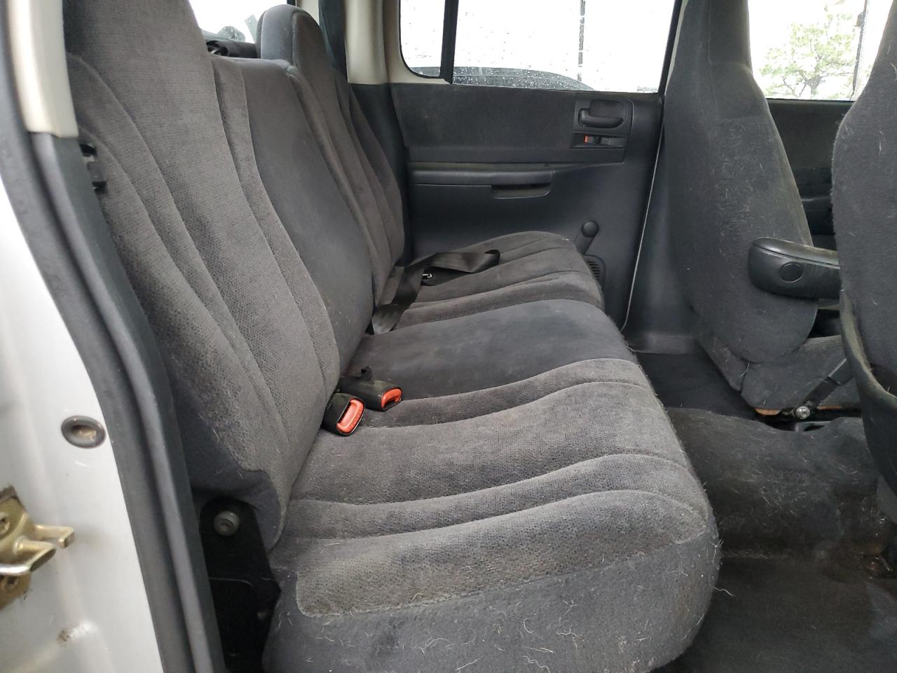 2004 Dodge Dakota Quad Sport VIN: 1D7HL38K74S570546 Lot: 49627955