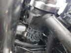 2024 Kawasaki Ex500  for Sale in Lawrenceburg, KY - Side