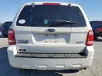 2009 Ford Escape Xlt for Sale in Lebanon, TN - Hail