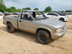 1999 Chevrolet S Truck S10 იყიდება China Grove-ში, NC - All Over