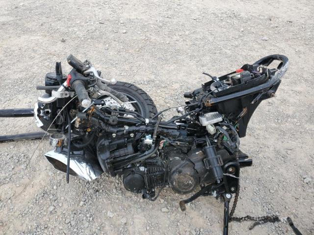 2024 HONDA Z125 MA  