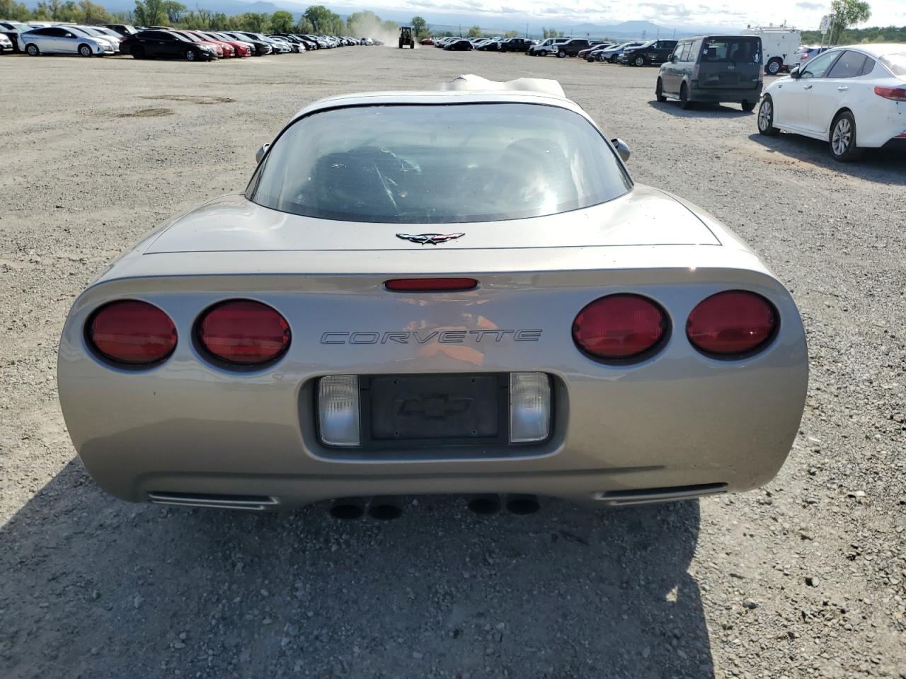 1999 Chevrolet Corvette VIN: 1G1YY22G0X5116807 Lot: 51869185