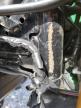 2024 Honda Grom 125 للبيع في Prairie Grove، AR - Front End